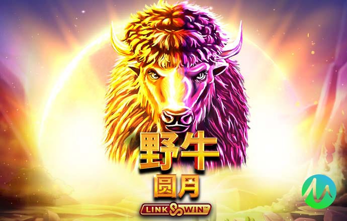 新爱体育
